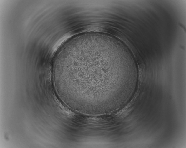 X0000103431115200809261724