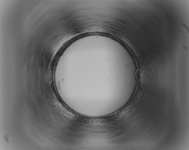 X0000103431116200809261724