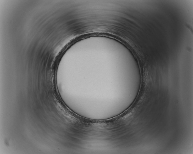 X0000103431118200809261724