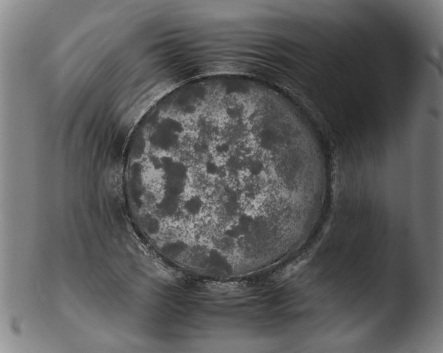 X0000103431121200809261724