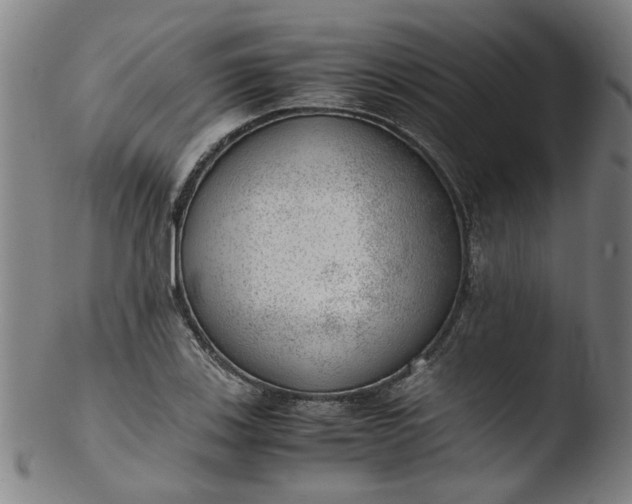 X0000103431123200809261724