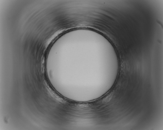 X0000103431126200809261724