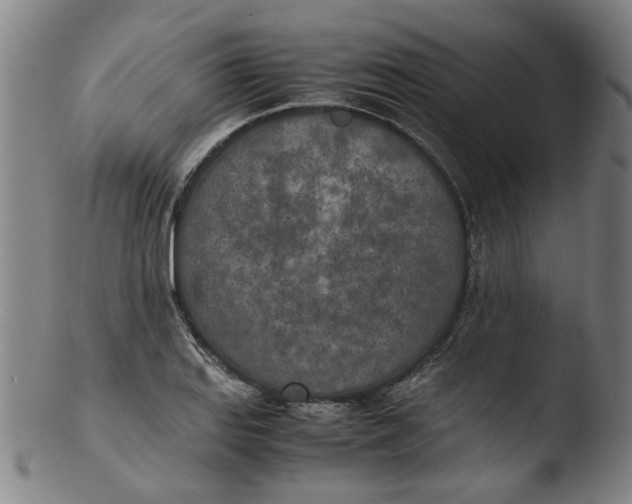 X0000103431127200809261724