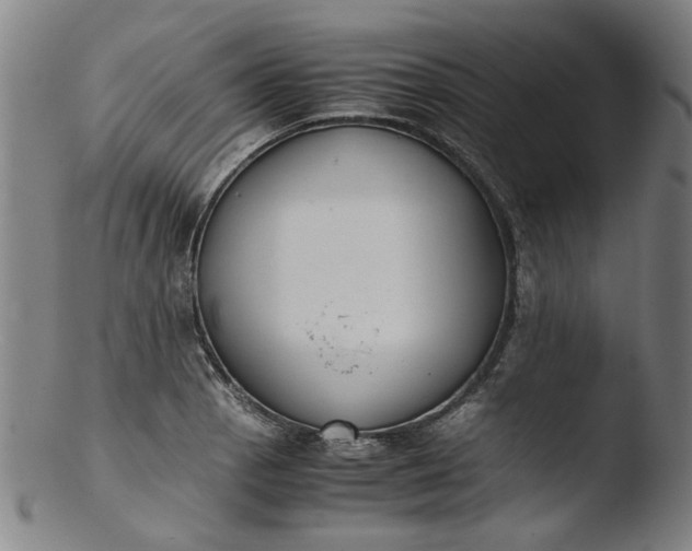 X0000103431129200809261724