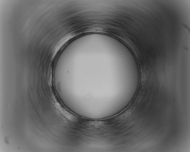 X0000103431131200809261724