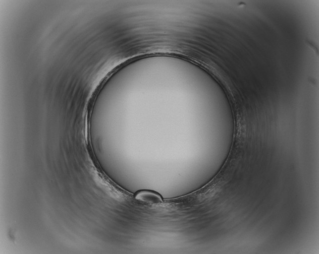 X0000103431132200809261724