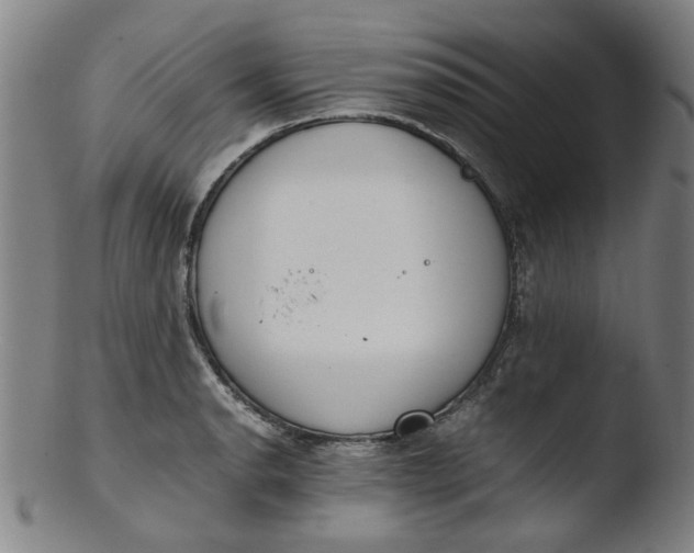 X0000103431134200809261724