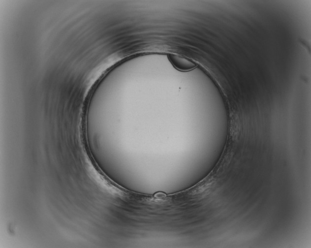 X0000103431139200809261724