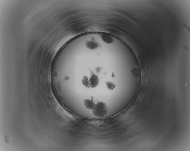 X0000103431141200809261724