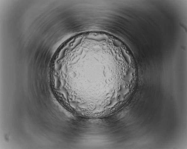 X0000103431142200809261724