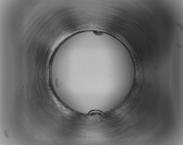 X0000103431144200809261725