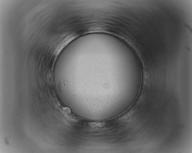 X0000103431145200809261725