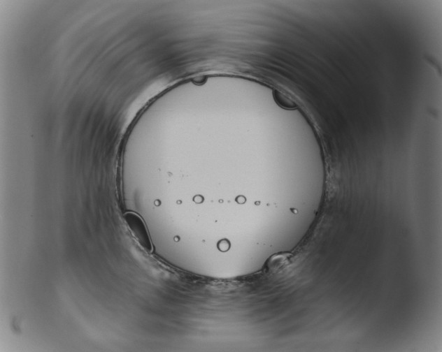 X0000103431146200809261725