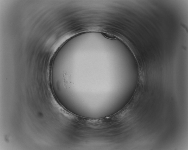 X0000103431147200809261725