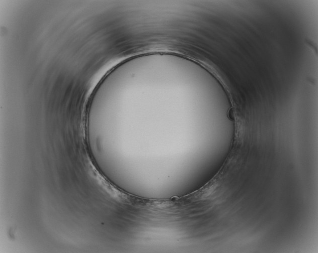 X0000103431148200809261725