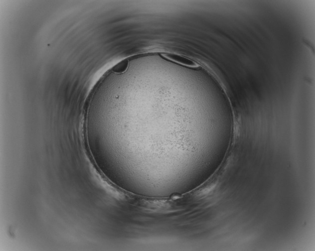 X0000103431149200809261725