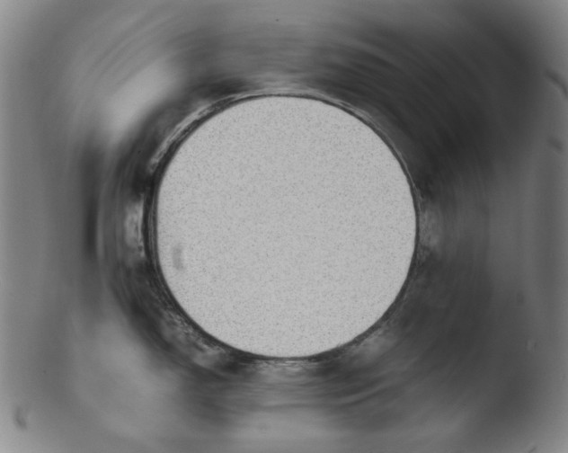 X0000103431150200809261725