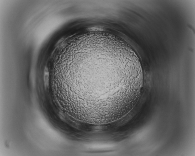 X0000103431151200809261725