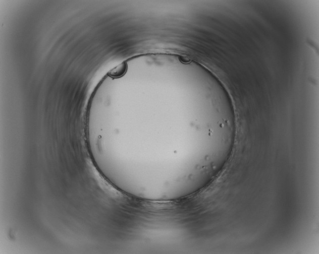 X0000103431152200809261725