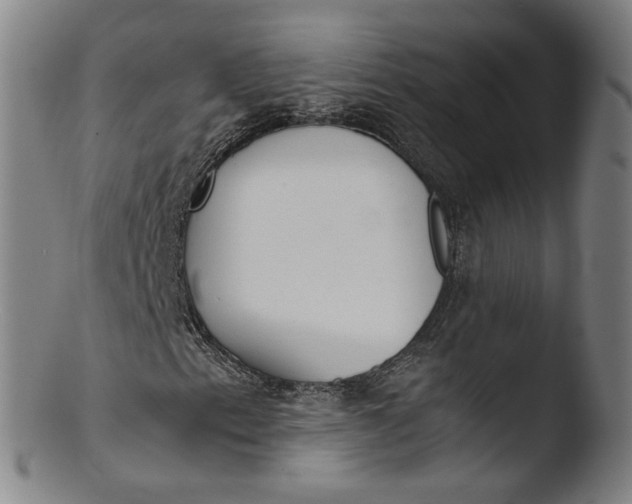 X0000103431153200809261724