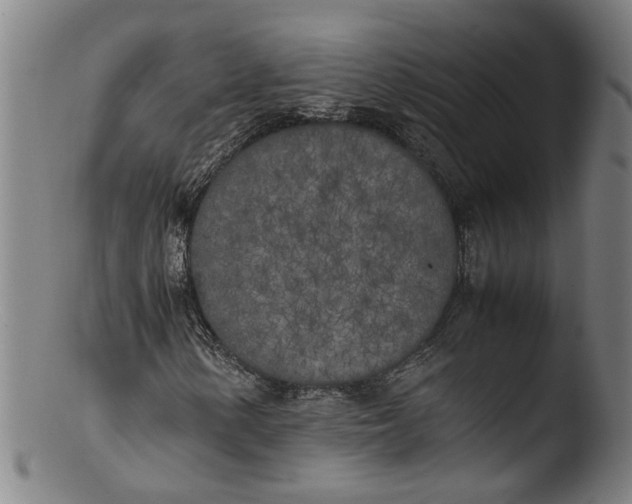 X0000103431154200809261724