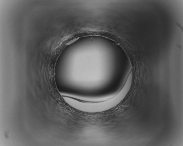 X0000103431157200809261724