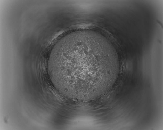 X0000103431158200809261724