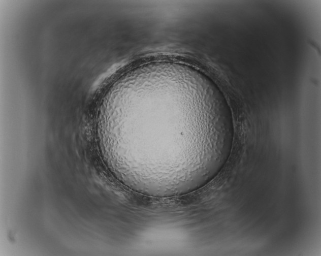 X0000103431159200809261724