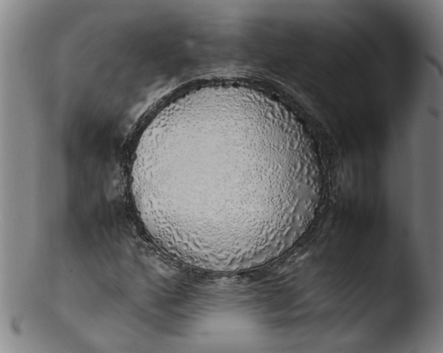 X0000103431160200809261724