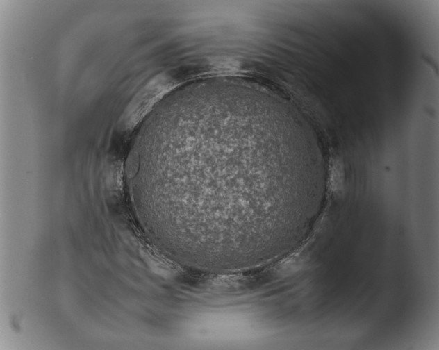 X0000103431161200809261724