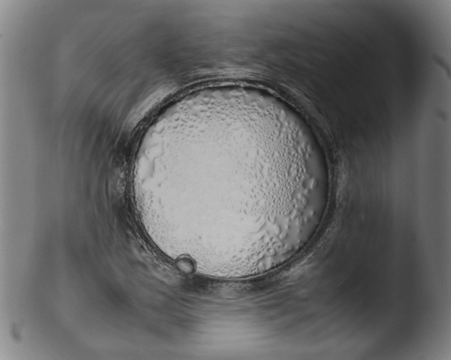 X0000103431163200809261724