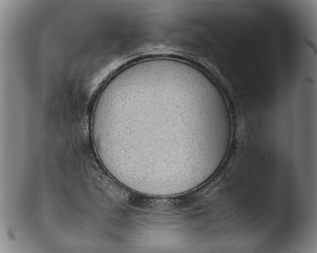 X0000103431167200809261724