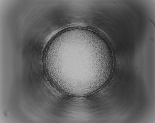 X0000103431168200809261724