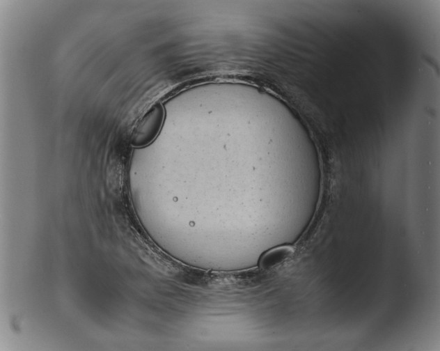 X0000103431169200809261724