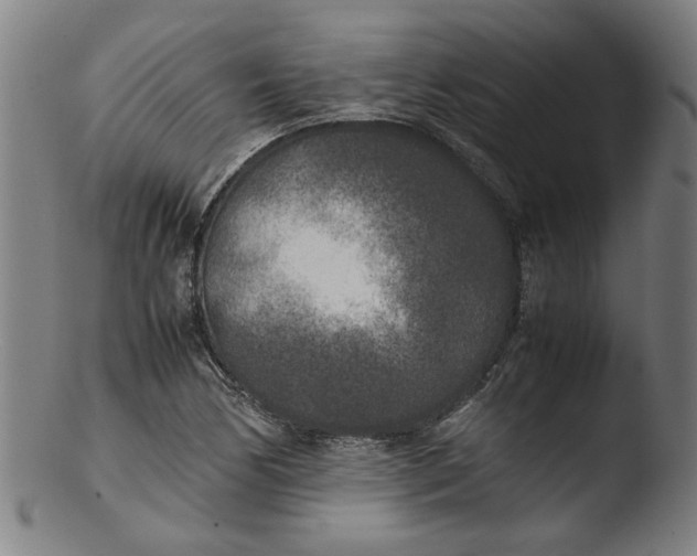 X0000103431170200809261724