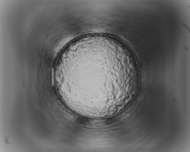 X0000103431171200809261724