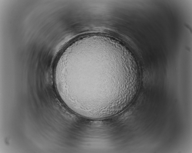 X0000103431172200809261724