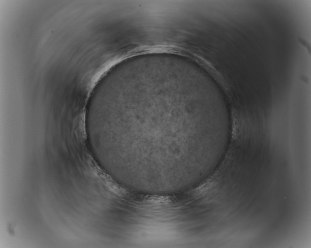 X0000103431174200809261724