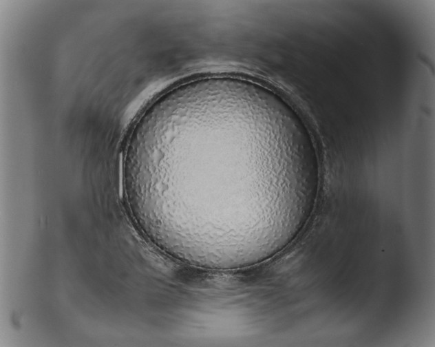 X0000103431175200809261724