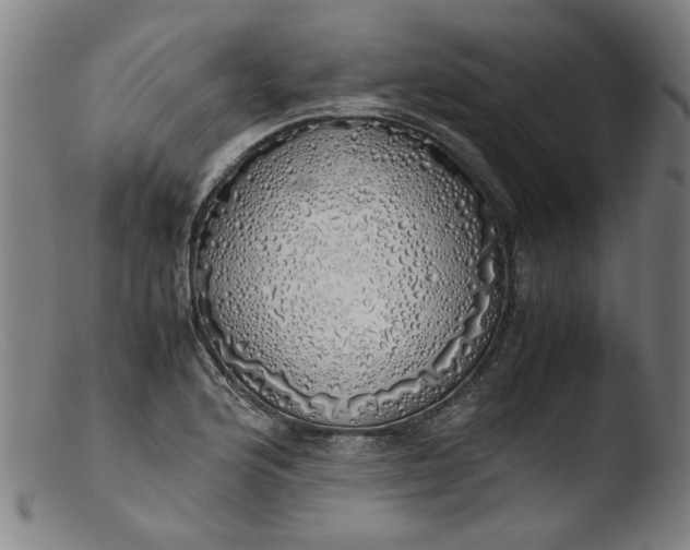 X0000103431176200809261724