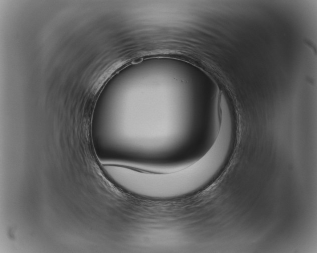 X0000103431177200809261724