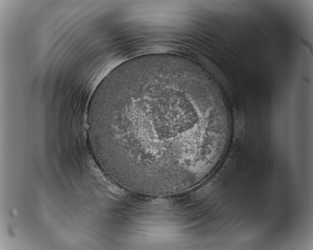 X0000103431178200809261723