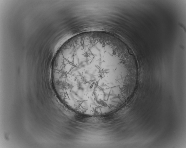 X0000103431179200809261723