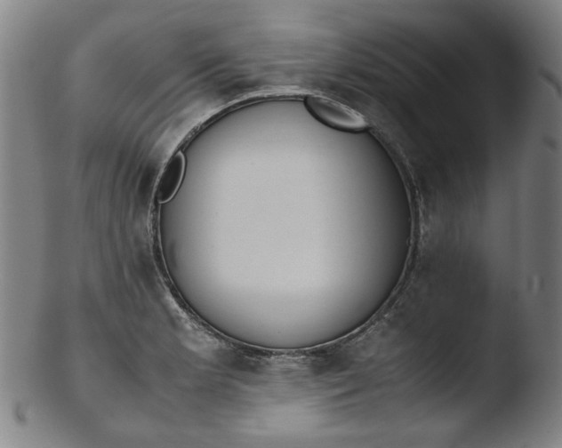 X0000103431181200809261723