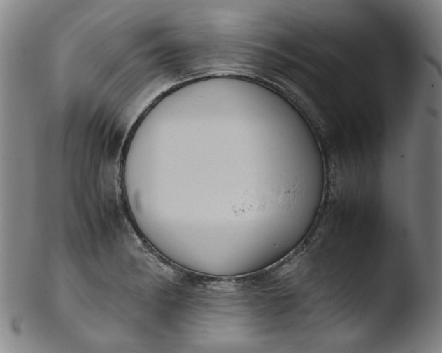 X0000103431182200809261723