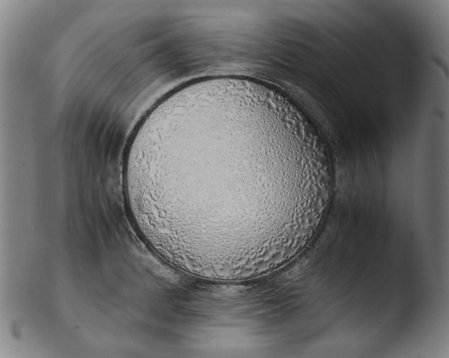 X0000103431184200809261723