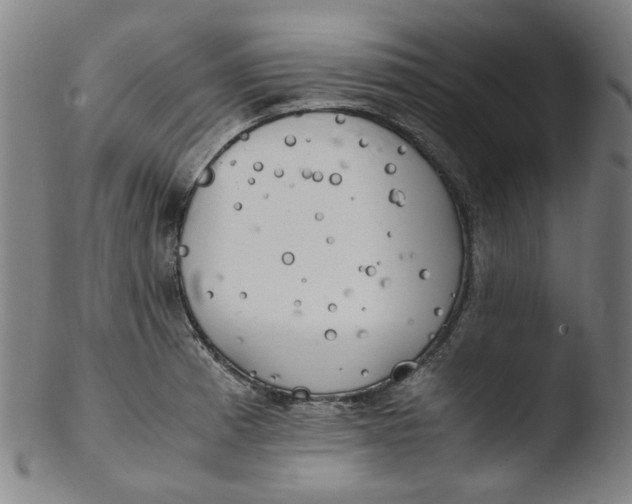 X0000103431185200809261723