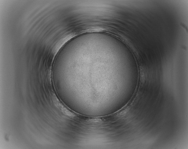 X0000103431186200809261723