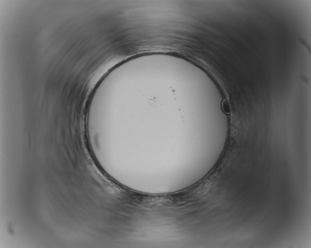 X0000103431187200809261723