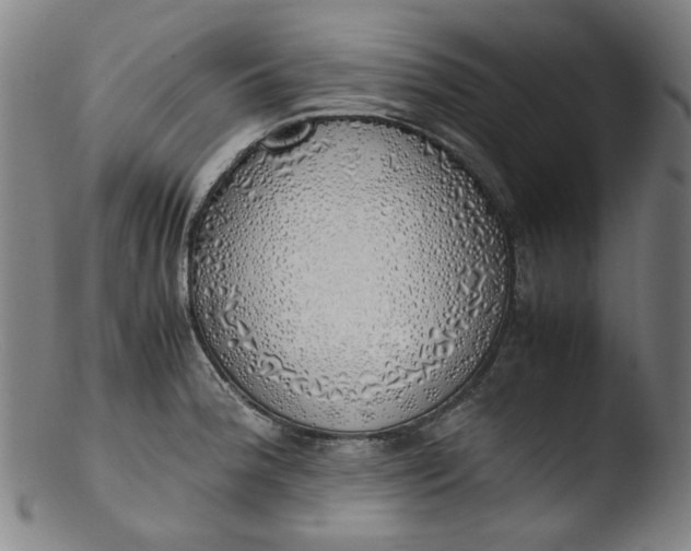 X0000103431188200809261723